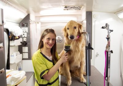 Grooming on the Go: Mobile Services Changing Pet Care