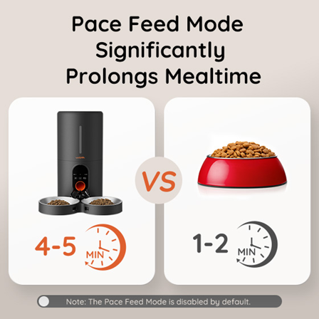 smart pet feeder